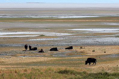 Landscape Photos : Richard Moore : Photographer